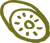 ROAMIN-GRAPHICS-bg-KIWI-RIGHT-72701a